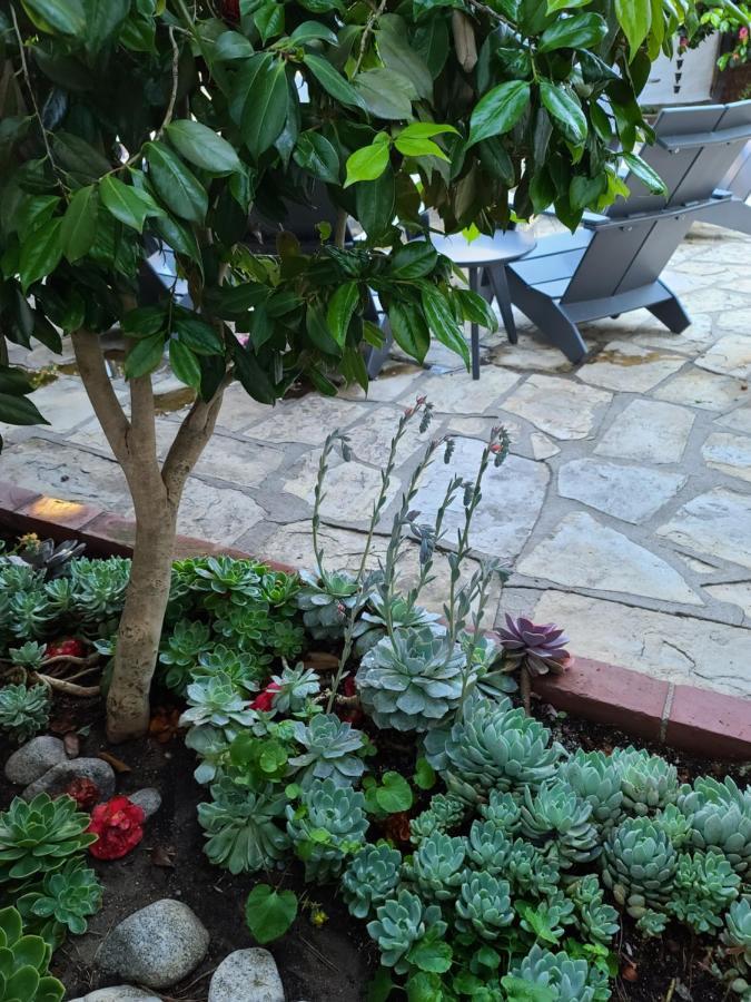 The Vagabond'S House Boutique Inn Carmel-by-the-Sea Luaran gambar